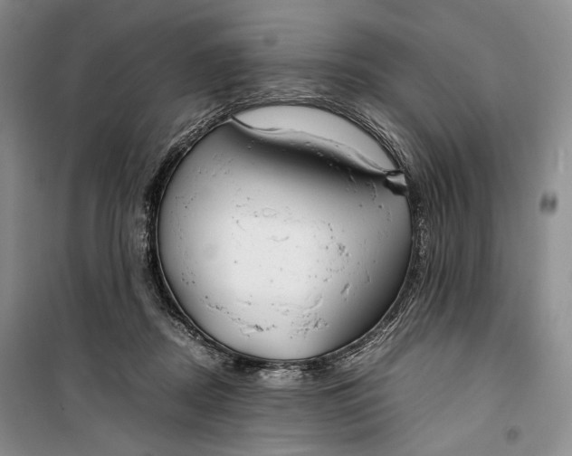 X0000099990362200806131440