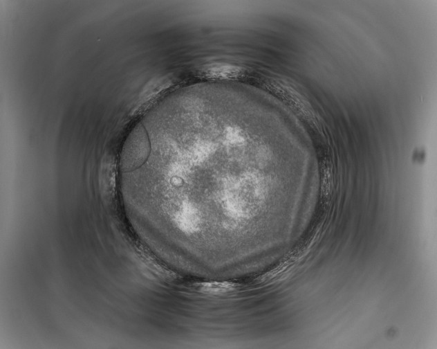 X0000099990363200806131440