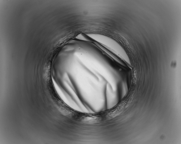 X0000099990364200806131440