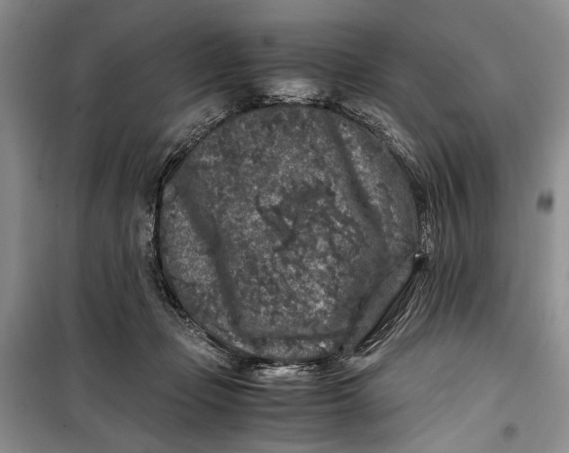 X0000099990365200806131440