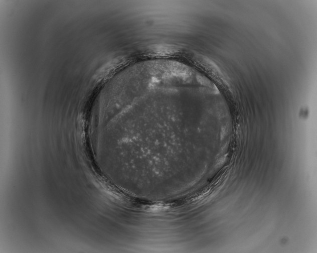 X0000099990366200806131440