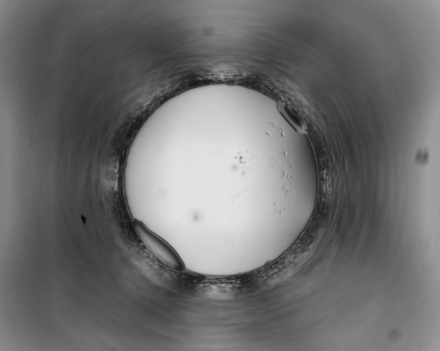 X0000099990368200806131440