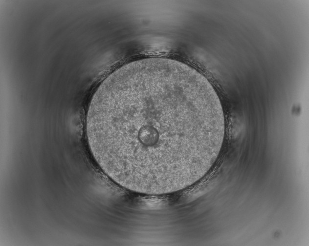 X0000099990370200806131440