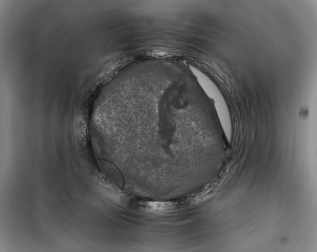 X0000099990371200806131440