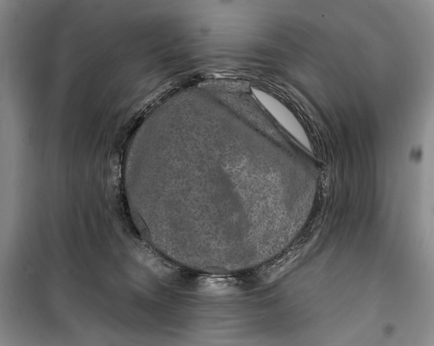 X0000099990372200806131440