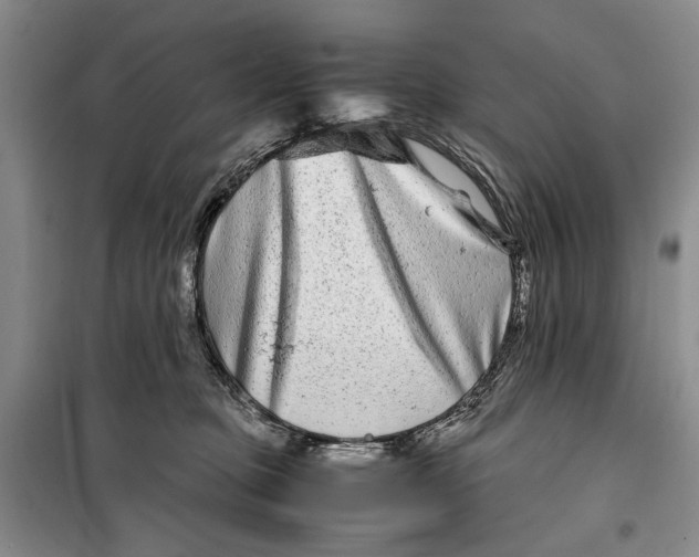 X0000099990373200806131440