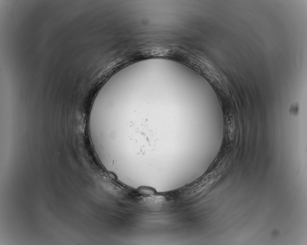 X0000099990374200806131440