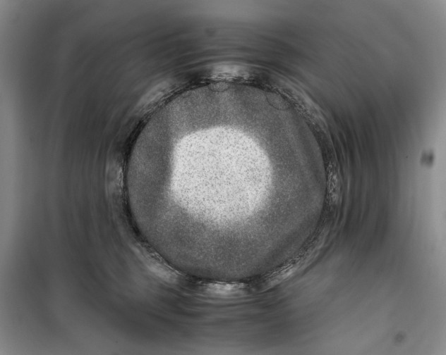 X0000099990375200806131440