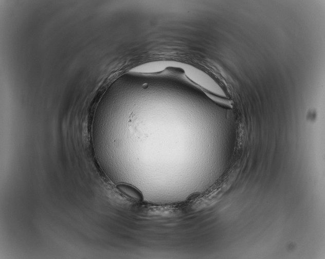 X0000099990377200806131440