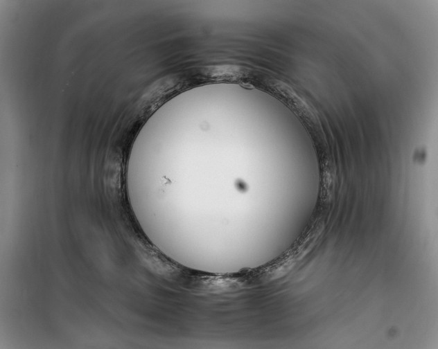 X0000099990379200806131440