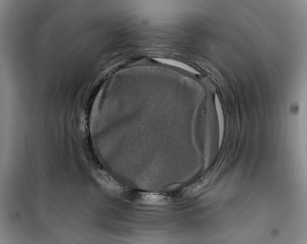 X0000099990380200806131440