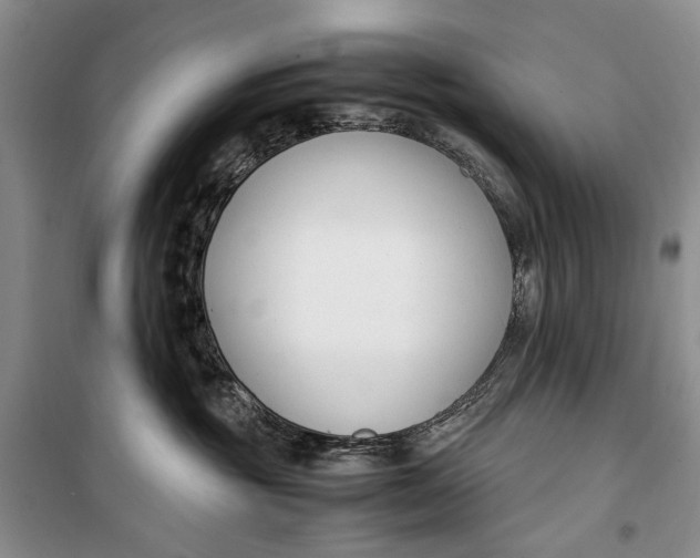 X0000099990381200806131440