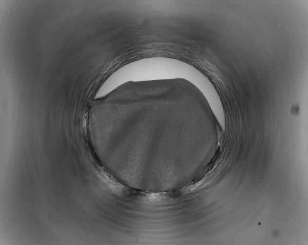 X0000099990382200806131440