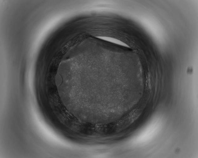 X0000099990383200806131440