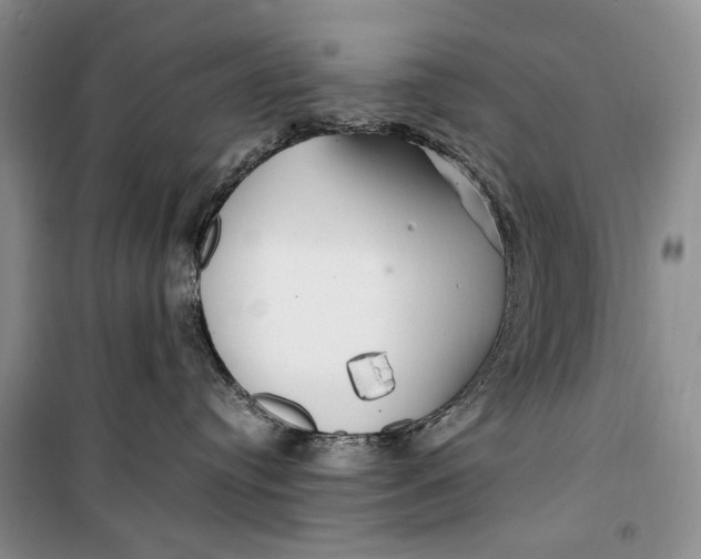 X0000099990384200806131440