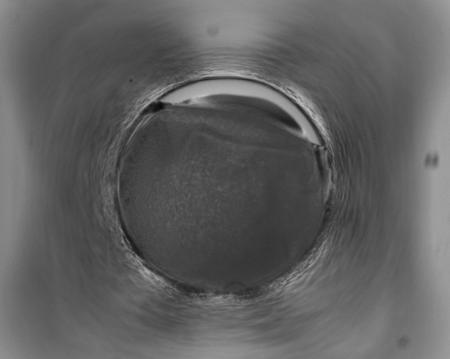 X0000099990385200806131440