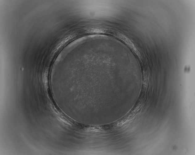 X0000099990386200806131440