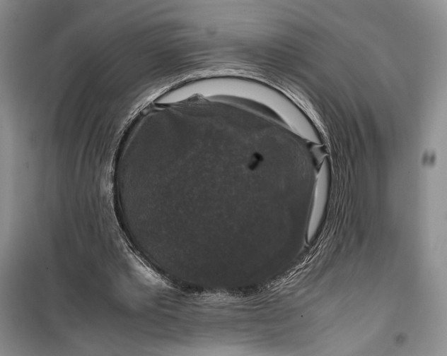 X0000099990389200806131439