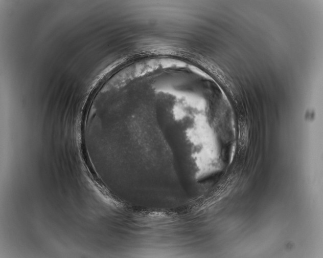 X0000099990390200806131439