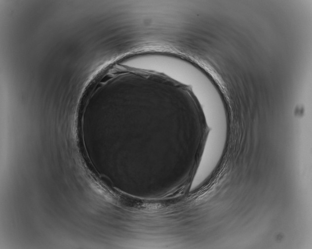 X0000099990391200806131439