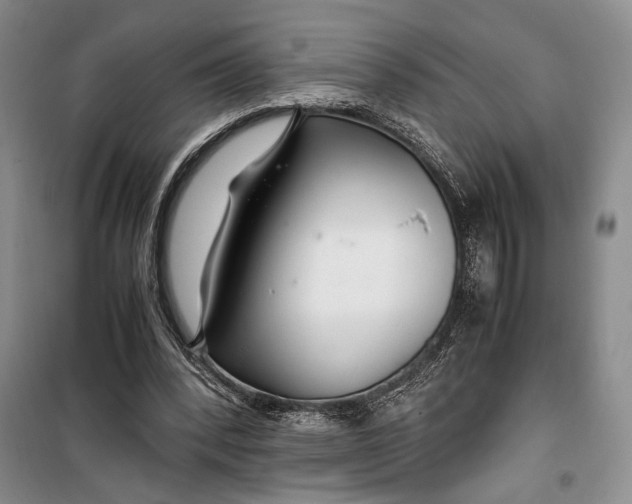 X0000099990392200806131439