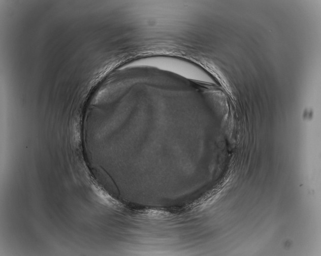 X0000099990393200806131439