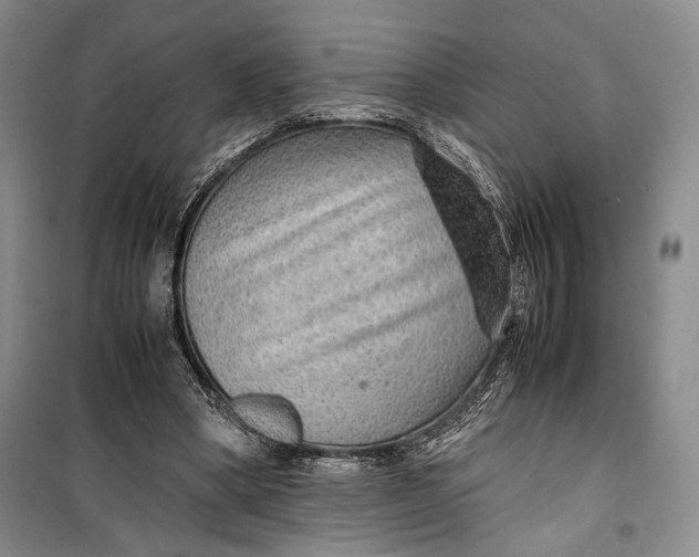 X0000099990394200806131439