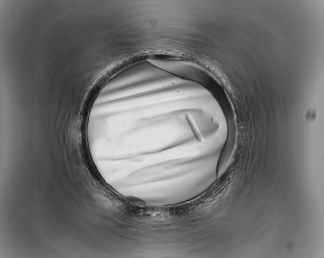 X0000099990395200806131439