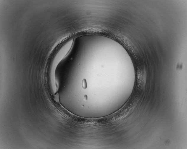 X0000099990396200806131439