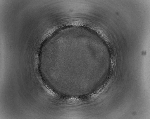 X0000099990397200806131439