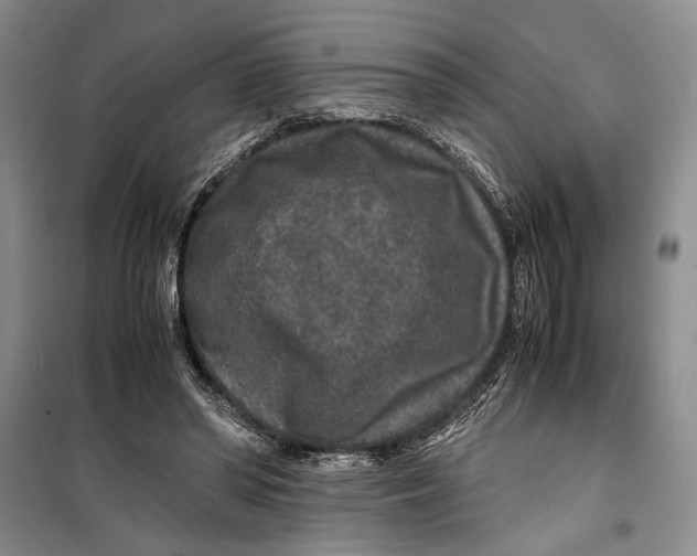 X0000099990398200806131439