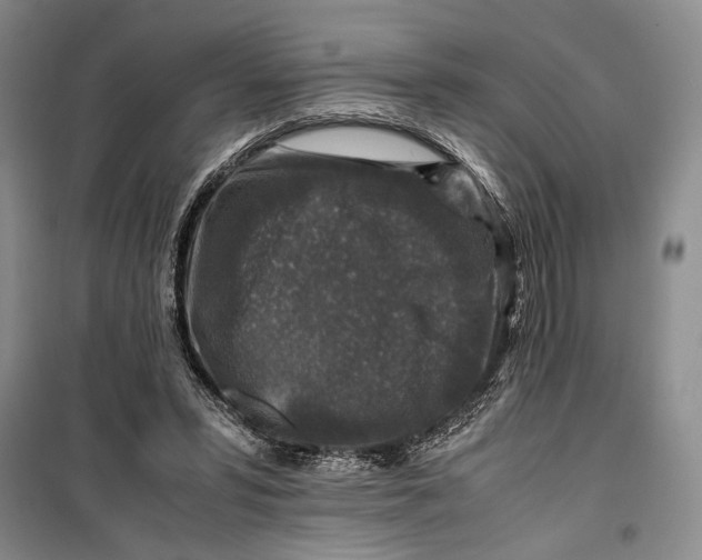 X0000099990399200806131439