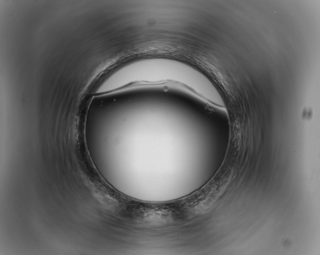 X0000099990400200806131439