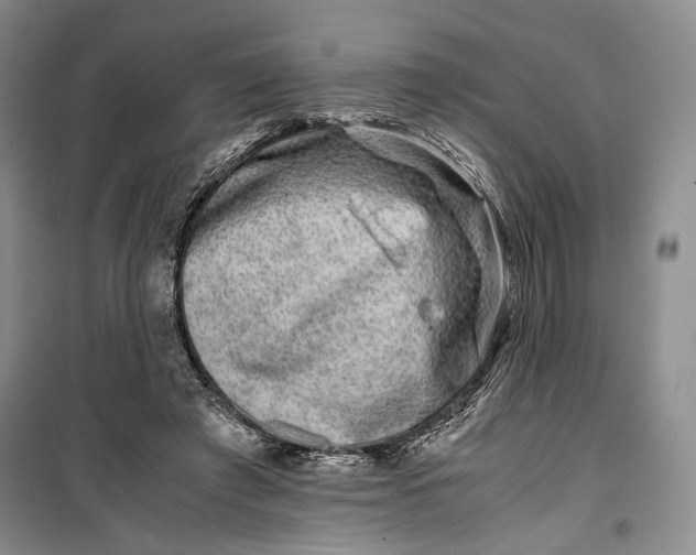 X0000099990401200806131439