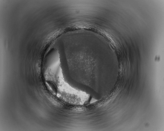 X0000099990402200806131439