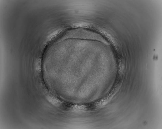 X0000099990403200806131439