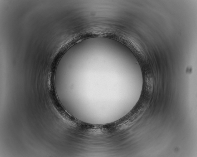 X0000099990404200806131439