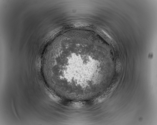 X0000099990405200806131439