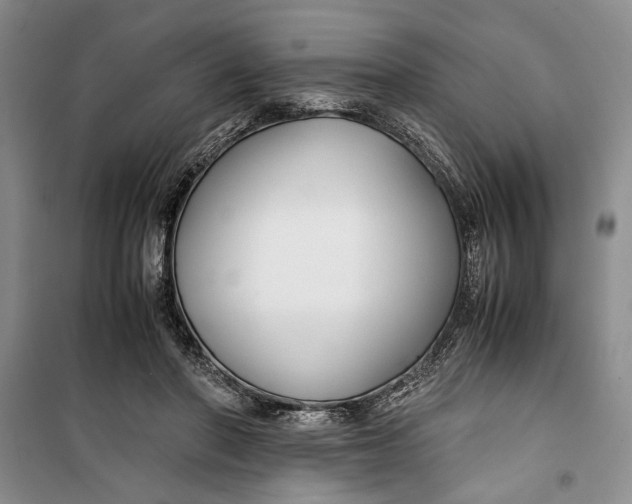 X0000099990406200806131439