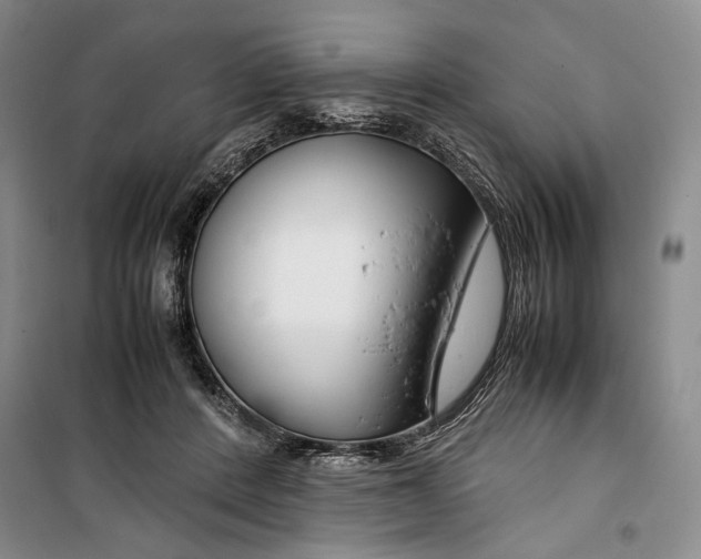 X0000099990408200806131439