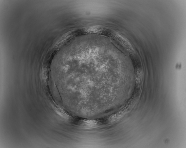 X0000099990409200806131439