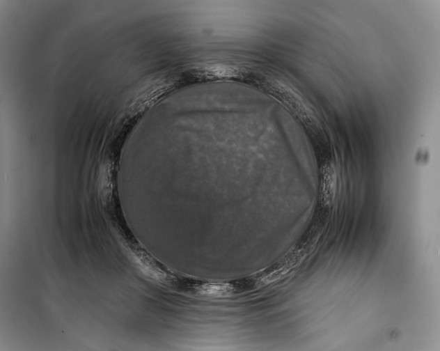 X0000099990410200806131439