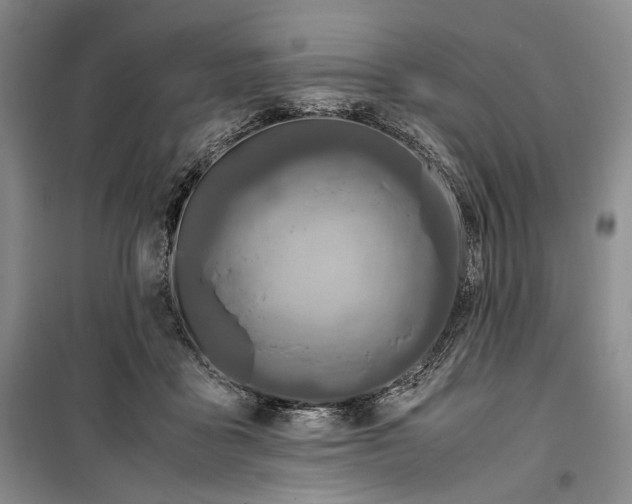 X0000099990411200806131439