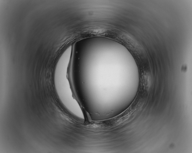 X0000099990412200806131439