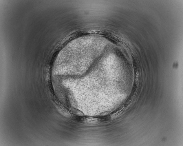 X0000099990413200806131439