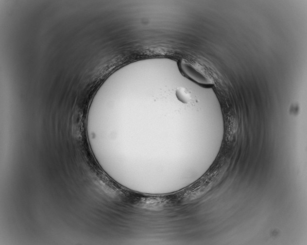 X0000099990414200806131439