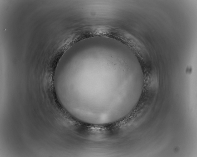 X0000099990415200806131439