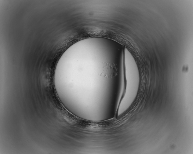 X0000099990416200806131439