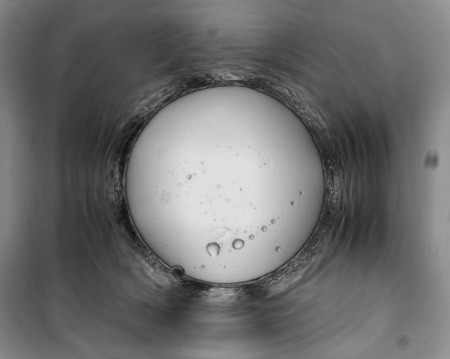 X0000099990418200806131439