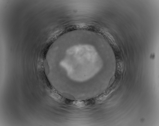 X0000099990419200806131439